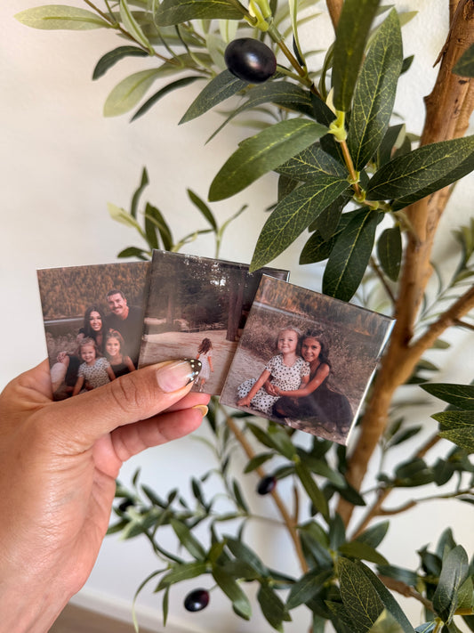 3 set Photo Magnets 2.5 x 2.5